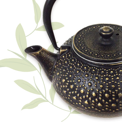 Turtle shell 1000ml (33oz)