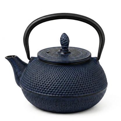 Cuisiland 450ml/15oz Hobnail Cast Iron Teapot with Infuser